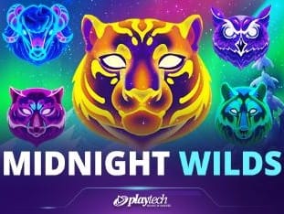 Midnight Wilds thumbnail